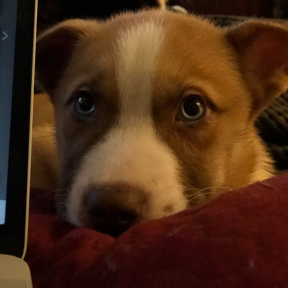 Meet your Posher, Andrea